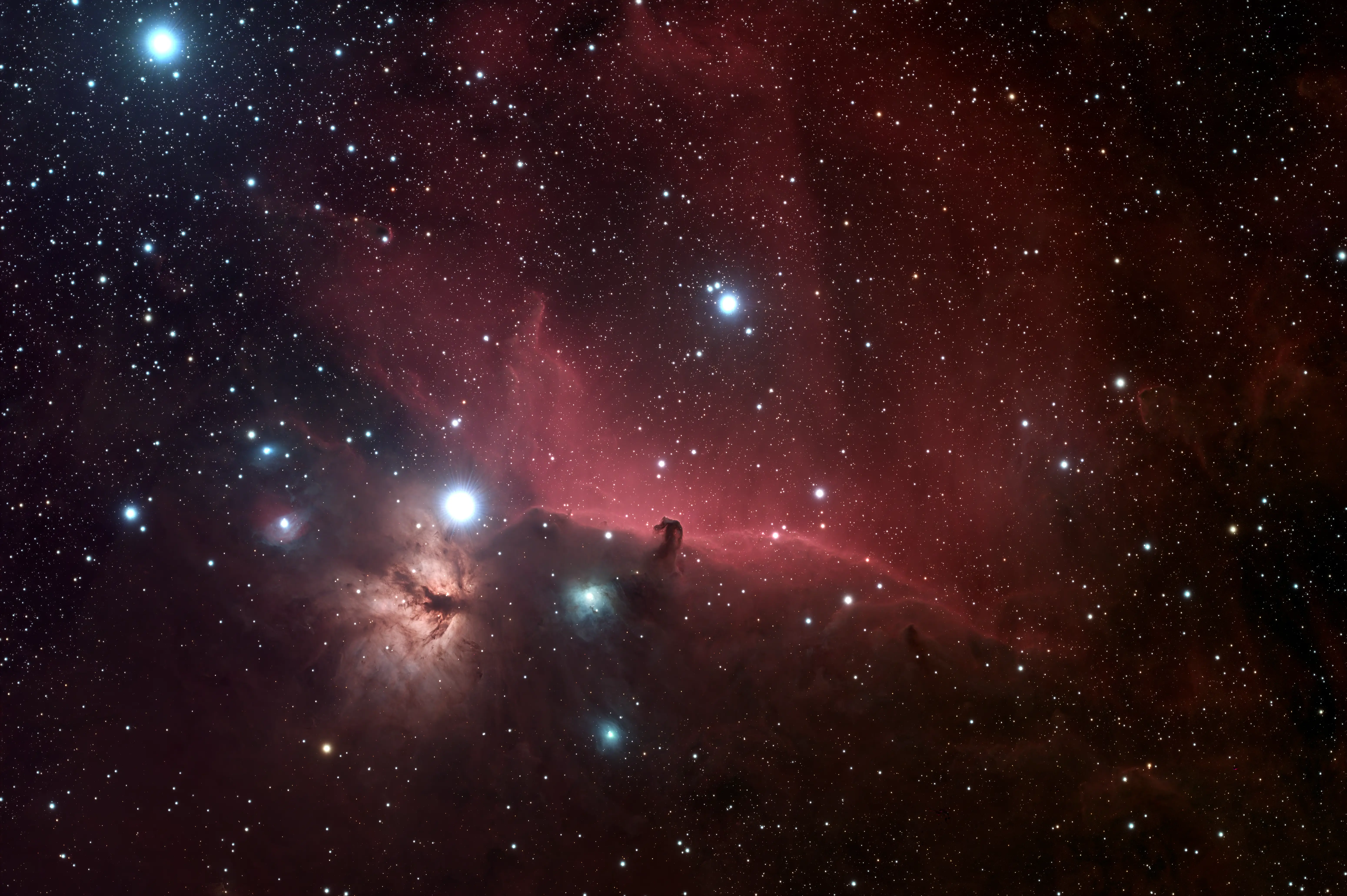 Horsehead and Flame Nebulae